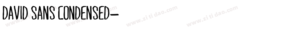 David Sans Condensed字体转换